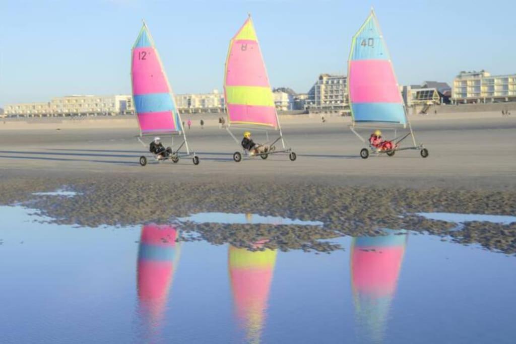 Cozy D'Opale Charmant T1 Bord De Mer Cour Privee Et Clot Wifi 3 Pers Animaux Acceptes Gratuit Διαμέρισμα Berck Εξωτερικό φωτογραφία
