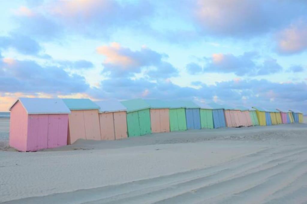 Cozy D'Opale Charmant T1 Bord De Mer Cour Privee Et Clot Wifi 3 Pers Animaux Acceptes Gratuit Διαμέρισμα Berck Εξωτερικό φωτογραφία